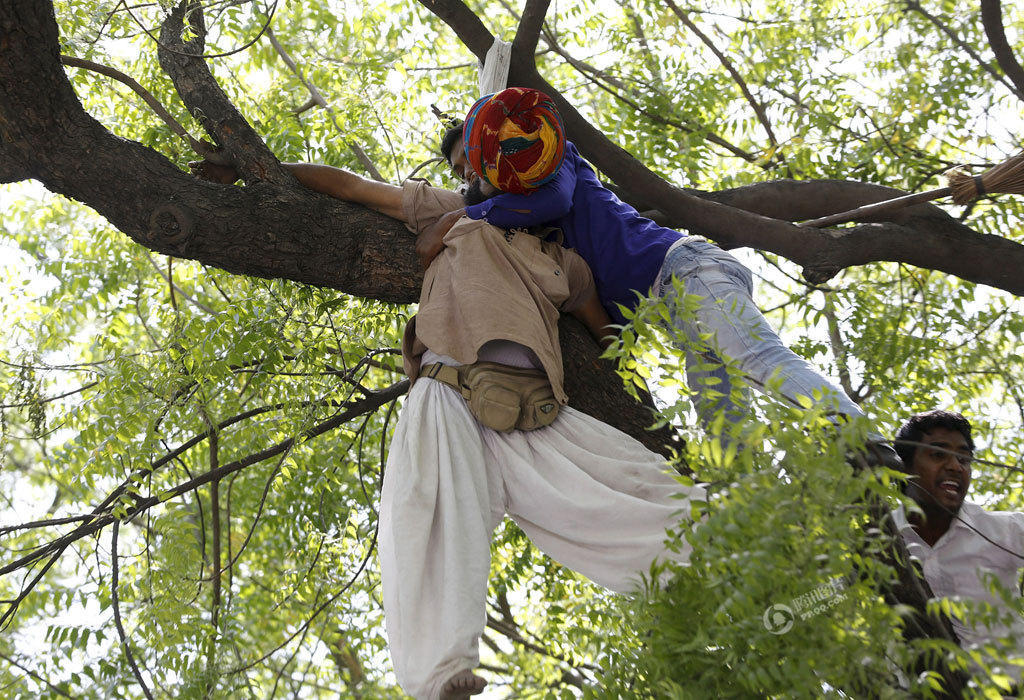 印度农民在示威活动中上吊自杀