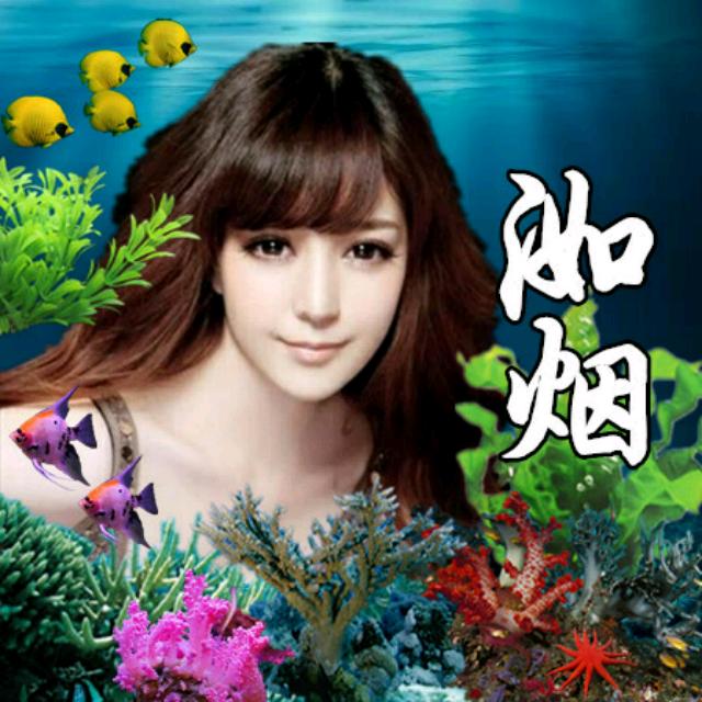 叹情歌