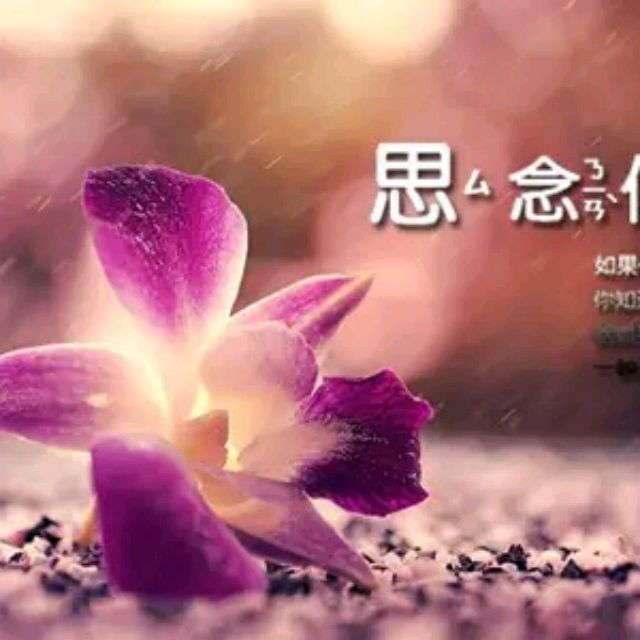 我把真心给了你