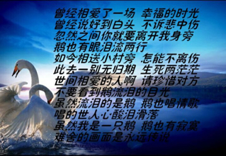 流泪的两只鹅简谱_流泪的两只鹅简谱