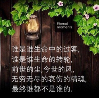 【今生无缘来生再聚(dj)】_今生无缘来生再聚(dj)伴奏