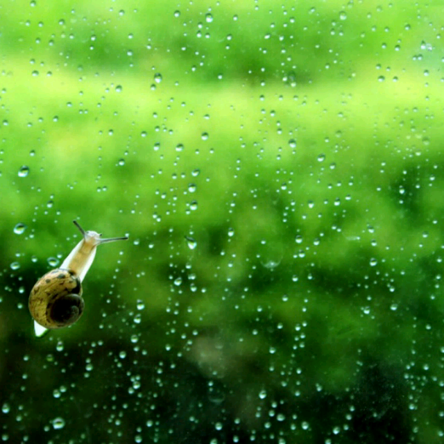 三月里的小雨