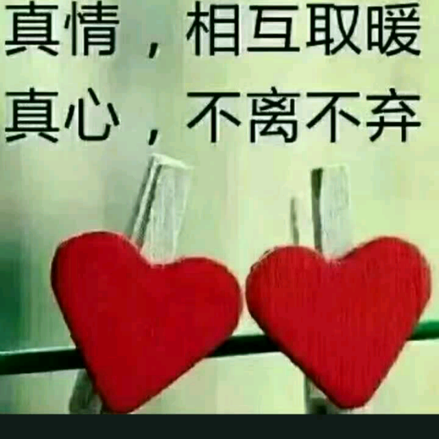 我的爱永远陪着你