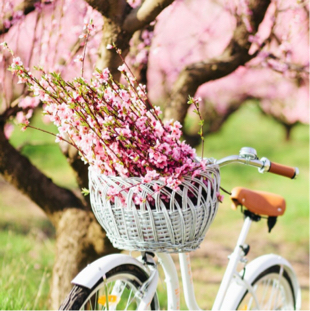 春暖花开