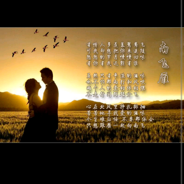 南飞雁
