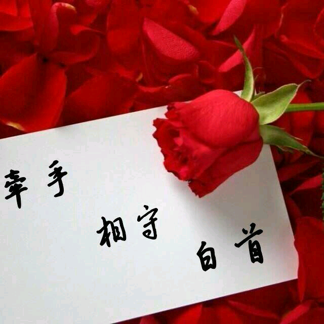 今天你要嫁给我了简谱_今天你要嫁给我简谱(2)