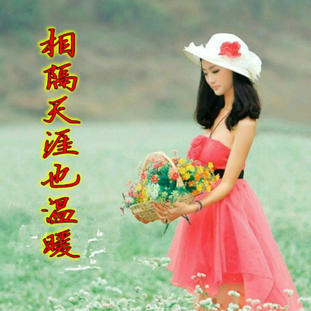 今生有你珍惜