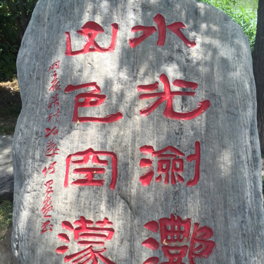 伤心城市简谱_伤心城市图片