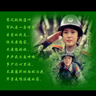 军中绿花