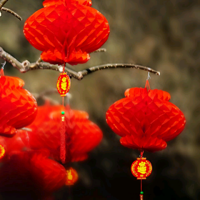 想着你亲爱的 摇曳的花