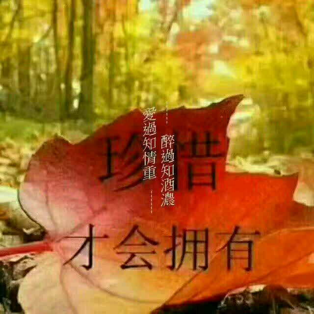 我的爱永远陪着你