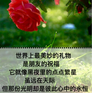  ǿ ֻΪ ǿ ûһ˼ƣ