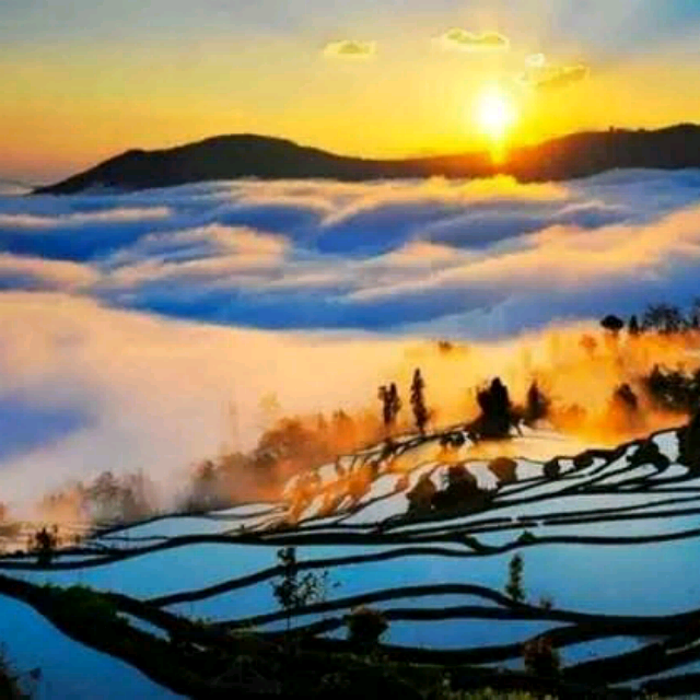 【心醉(电视剧《281封信》主题曲)】_心醉(电