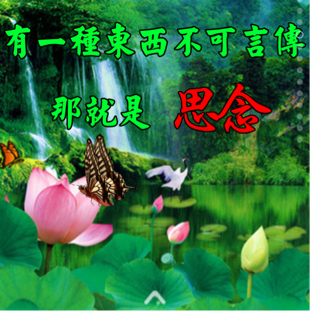 思念天边的你有线台
