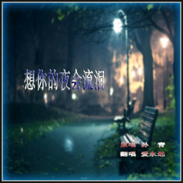 想你的夜会流泪