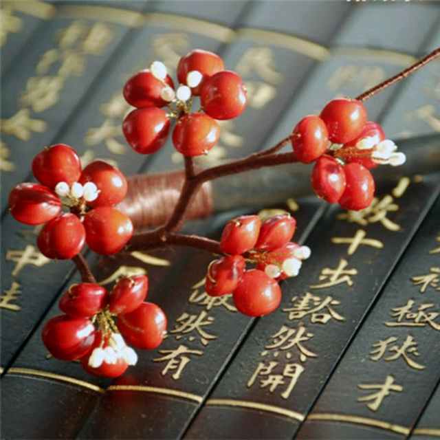 【红豆红】_红豆红伴奏_酷我k歌_酷我音乐