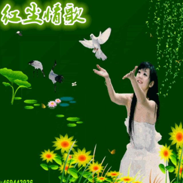 红尘情歌(演唱)