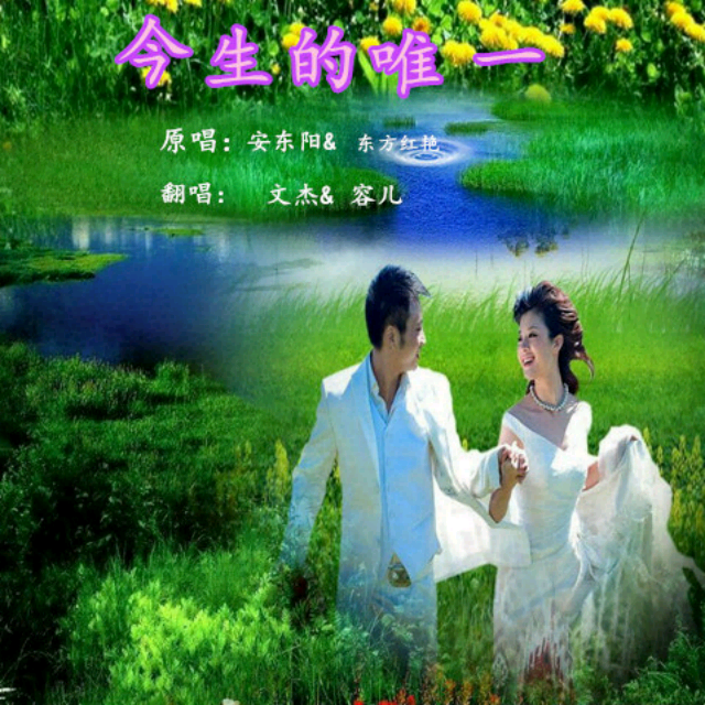 今生的唯一