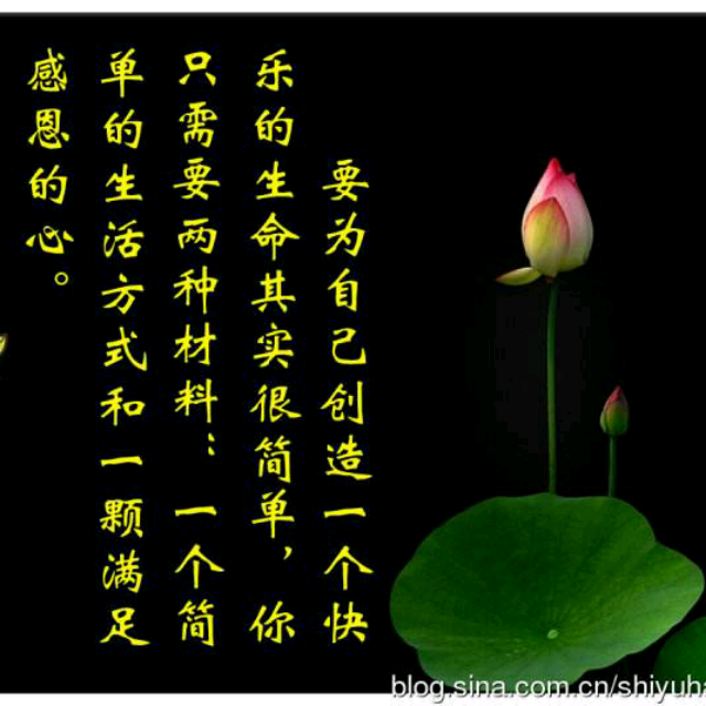 甘心情愿爱着你的简谱_甘心情愿简谱(2)