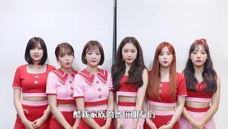 韩国官咖排名_韩国女明星排名前50名(3)